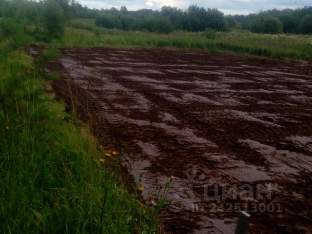 Строительство домов в устьянах