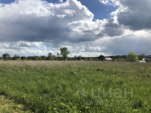 Земля Волоколамский Район Купить