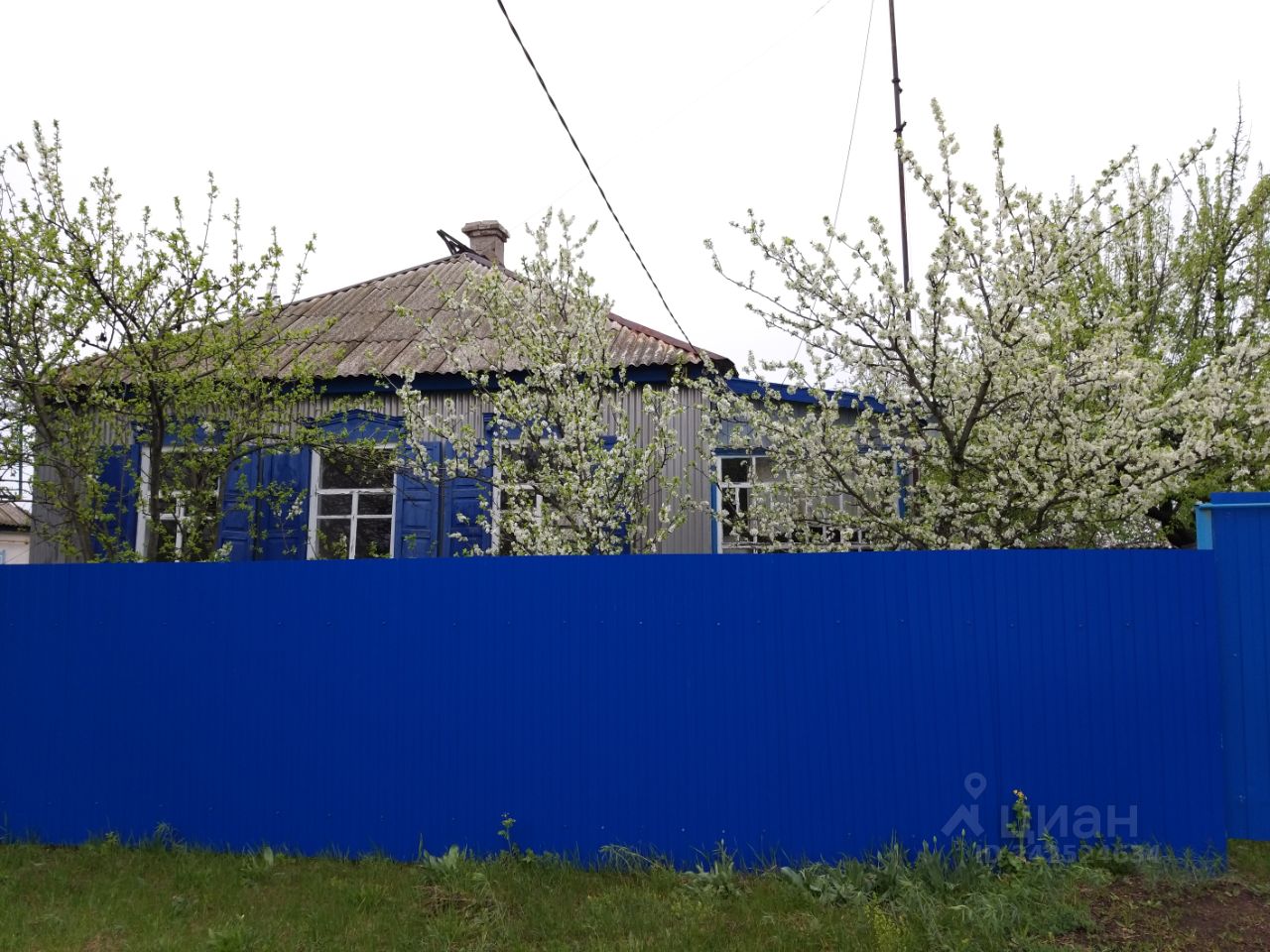 Продаю дом 52м² Выборгская ул., 24, Воронежская область, Кантемировский район, Митрофановка село - база ЦИАН, объявление 242524634