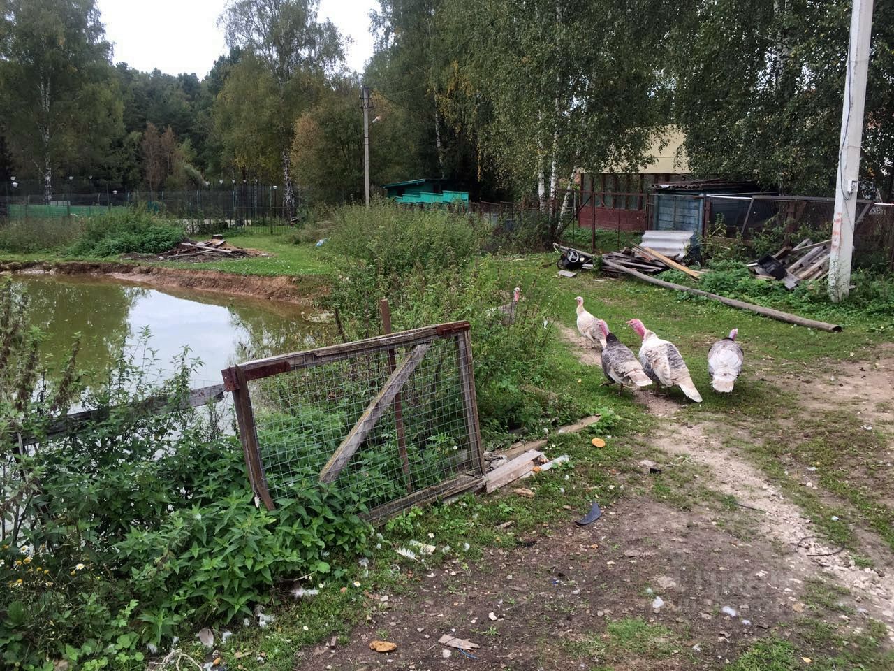 Участок лпх. Деревня Калянино Ступинский район. Запрудня 1 подсобное хозяйство. Дом отдыха в Калянино. Снять дачу на лето Калянино Михневский район.