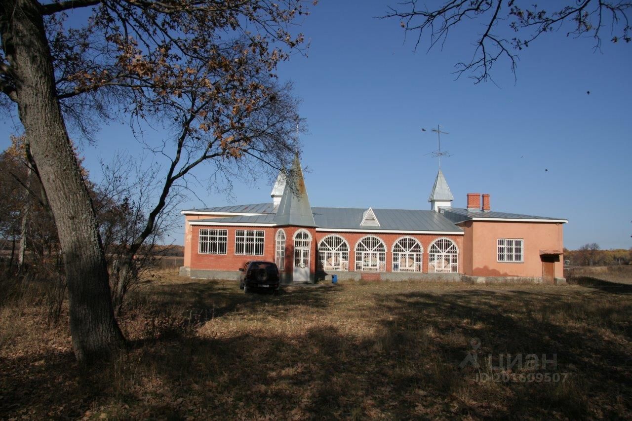 Лысогорский Район Фото