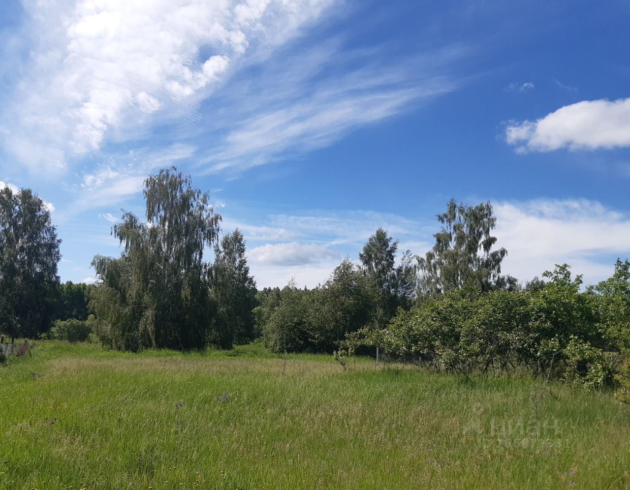 Село задне Пилево Рязанская область. Задне Пилево Рязанская область.