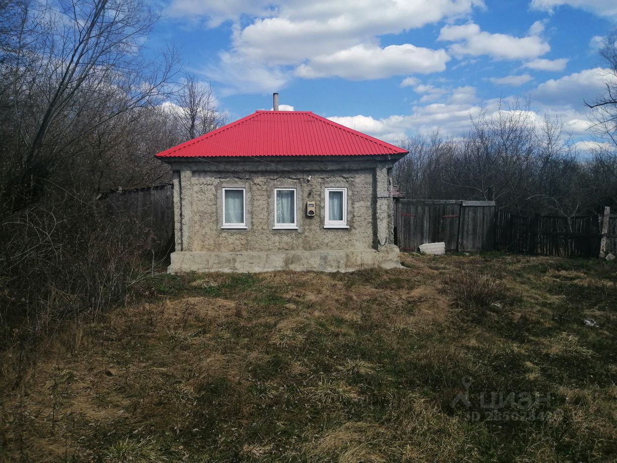 Старое березово сасовский район фото