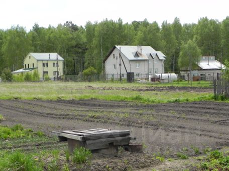 Мохнатуличка