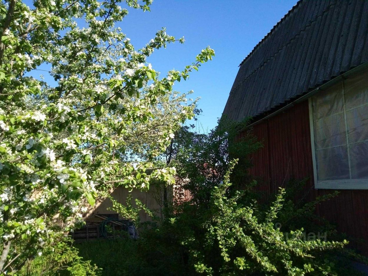 Продажа дома 45м² Москва, ТАО (Троицкий), Роговское поселение, Лесной СНТ м. Теплый Стан - база ЦИАН, объявление 250346506