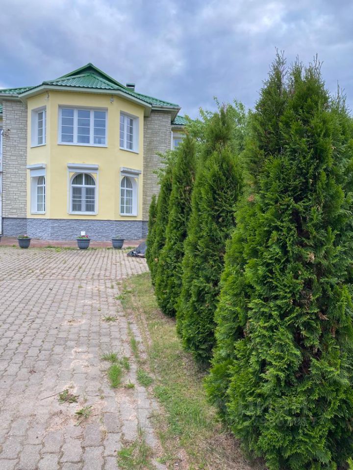 Изображение галлереи