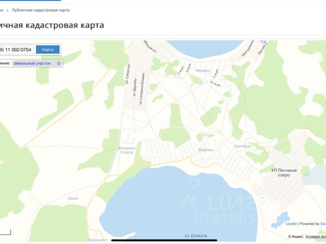 Гугл карта аргаяшского