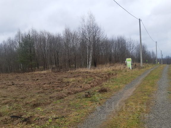 Фото На Документы В Покрове