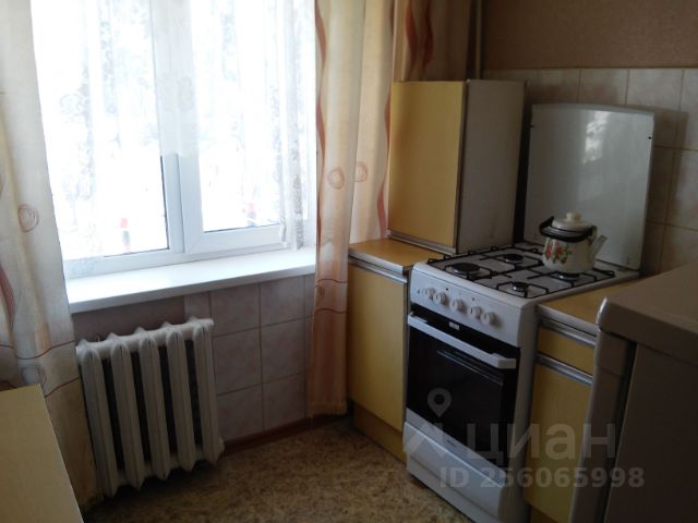 квартиры посуточно в благовещенске на ул чайковского. 1082553270 4. квартиры посуточно в благовещенске на ул чайковского фото. квартиры посуточно в благовещенске на ул чайковского-1082553270 4. картинка квартиры посуточно в благовещенске на ул чайковского. картинка 1082553270 4.