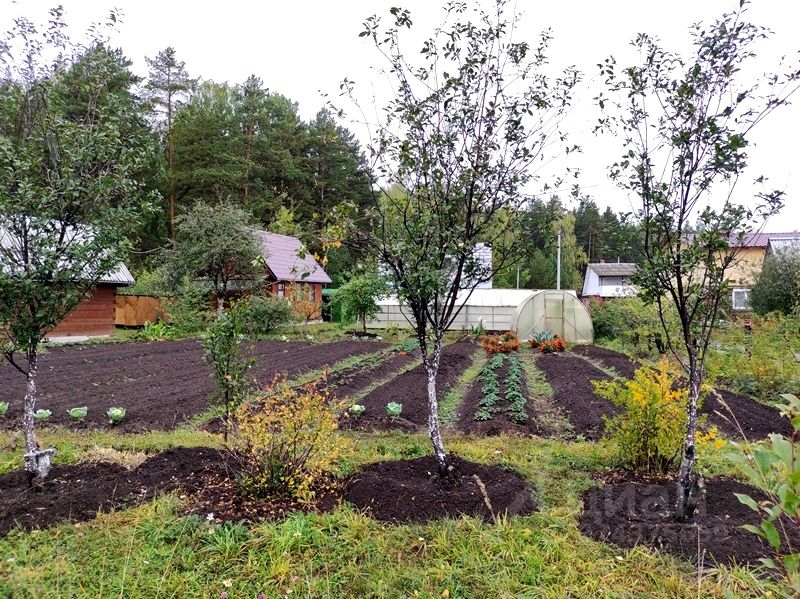 Купить Дачу В Верхнее Дуброво Свердловская