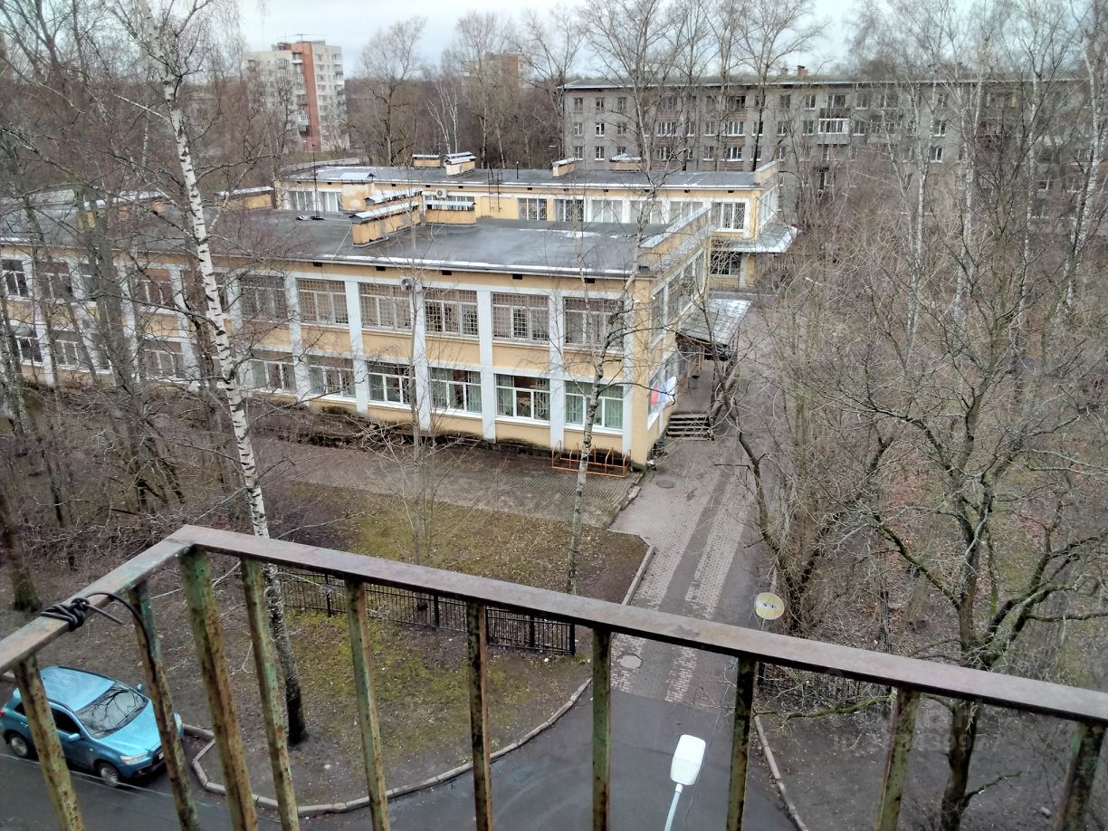 Бульвар разведчика петергоф. Бульвар разведчика петергоф