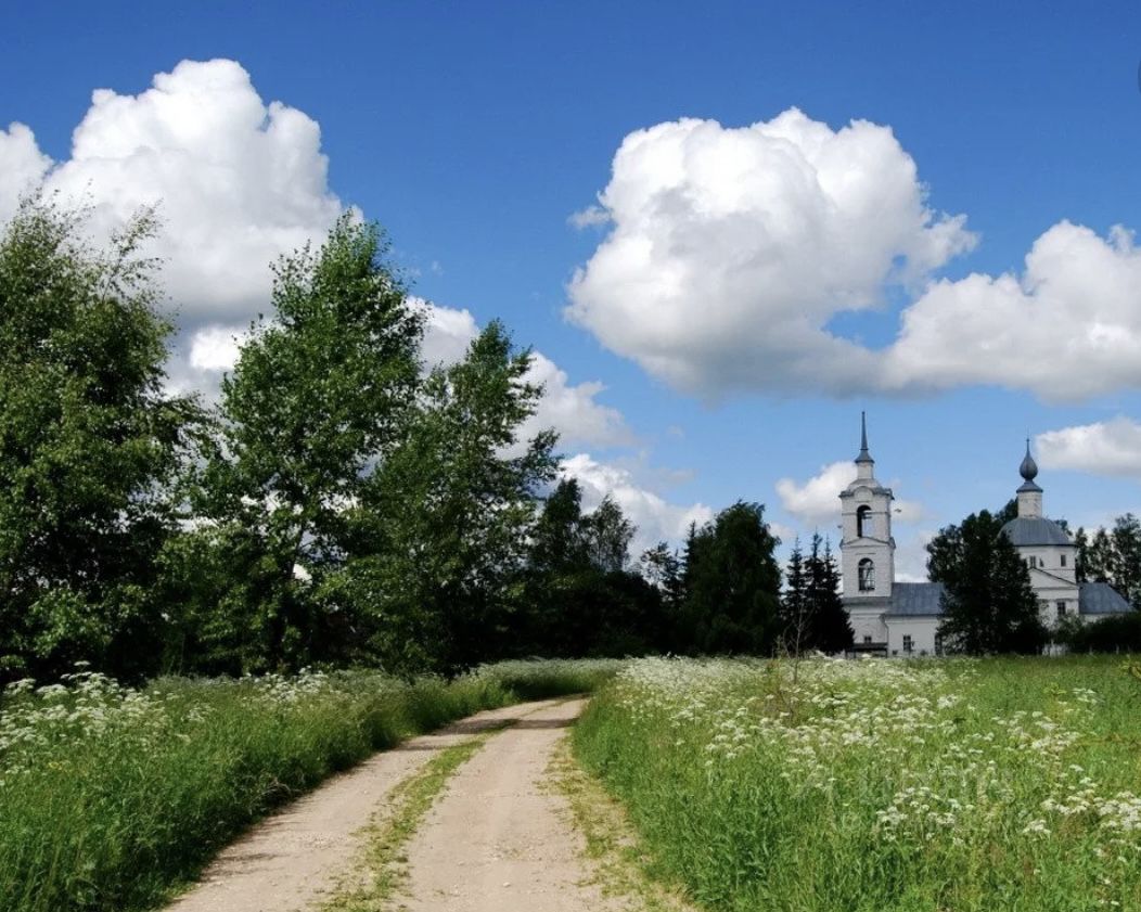 Село базой. Высокое Вологодская область. Самое высокое место Вологодской области. Дорога в село Вологодская область. Соколино Вологодская область.