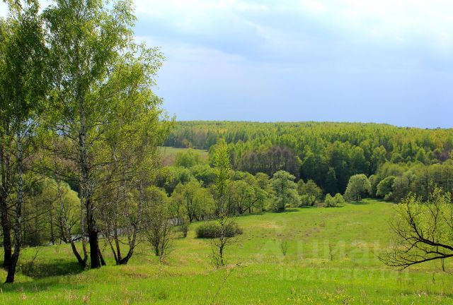 Купить Землю В Деревне Тульской Области