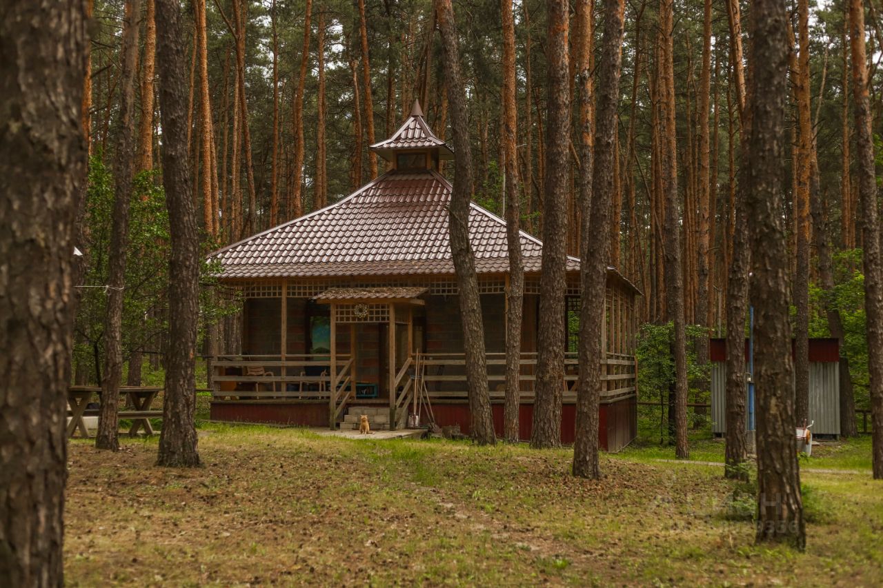 малиновка база отдыха