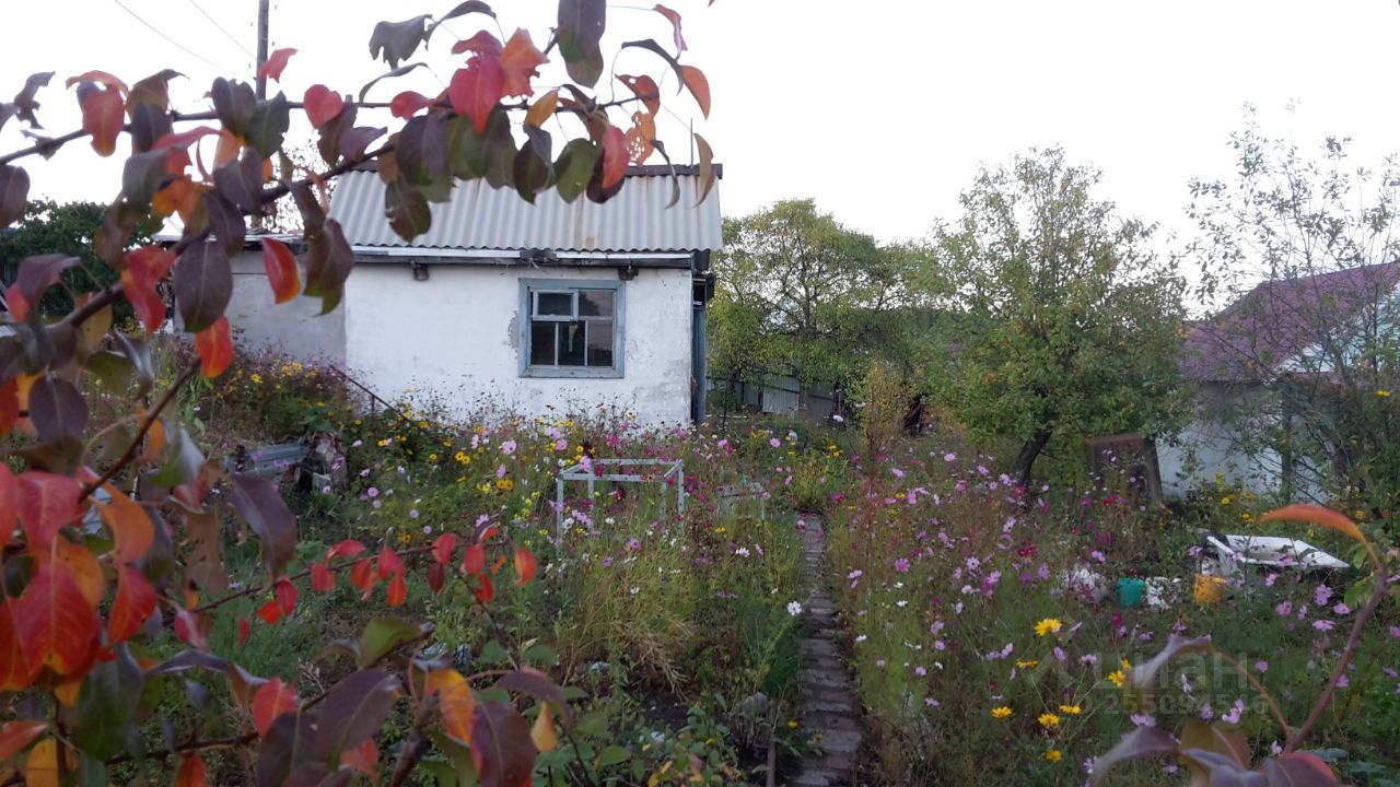 комсомольские дачи тольятти. комсомольские дачи тольятти. снт тимофеевское 2 в тольятти. комсомольские дачи тольятти. тольятти озерный дачи.