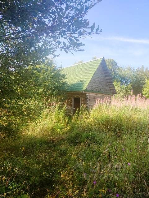 Ключи новгородская область