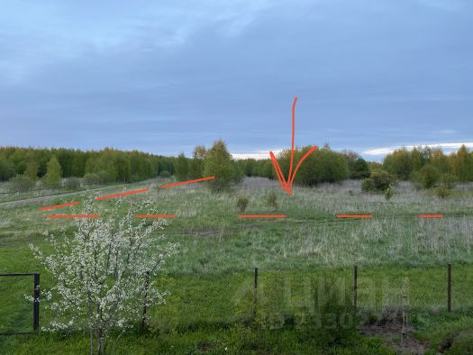 погода в аржаниках смоленская область на 14. аржаники смоленская область. аржаники кармановский район смоленской. село аржаники смоленская область гагаринский район. яузское водохранилище деревня аржаники.