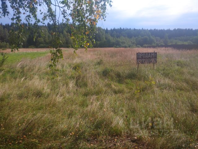 Вязьма. Д зенкино вяземский район смоленская область. Земля вязьма. Показать смоленская область, д. Земля вязьма.