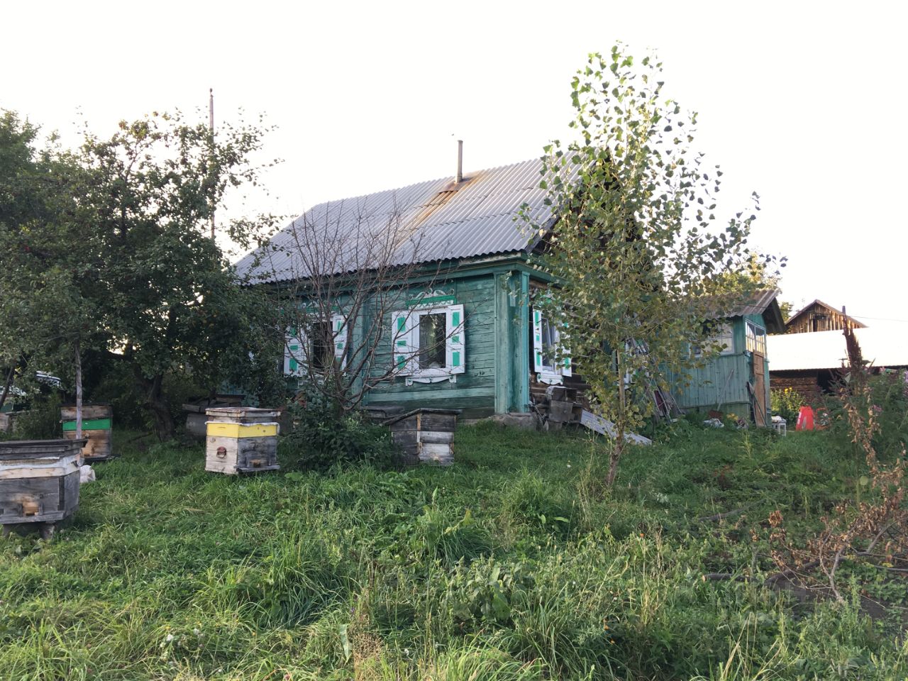 Дома в красногорском алтайский край. Новая Суртайка Алтайский край. Деревня Суртайка Алтайский. Новая Суртайка Красногорский район. Алтайского края Красногорского района село новая Суртайка.