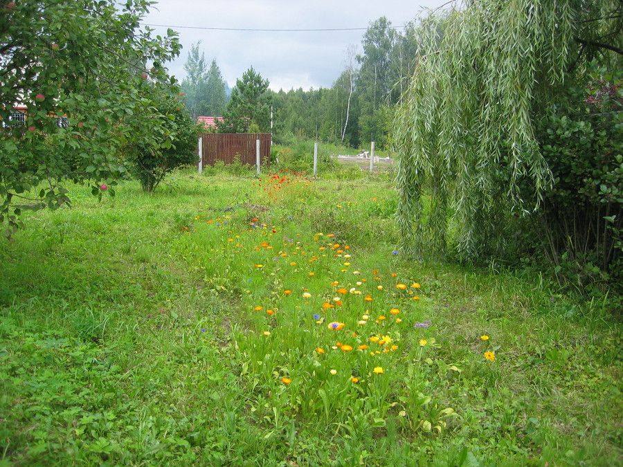 Земельные участки саратовская область. Земельный участок 6 соток. Земельный участок 4 сотки в СНТ фото. Продажа земельных участков СНТ Флора Рощинское поселение. Купить участок в Чехове сады.