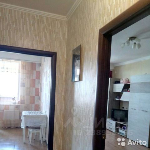 Снять однокомнатную квартиру 49м² ул. Горпищенко, 79, Севастополь, р-н Нахимовский, мкр. Горпищенко - база ЦИАН, объявление 238958856