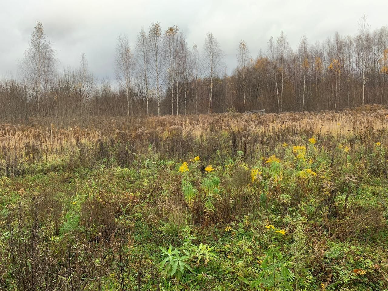 Нижегородской гектар. Кожевенное Богородский район. Пт территории Богородский район.