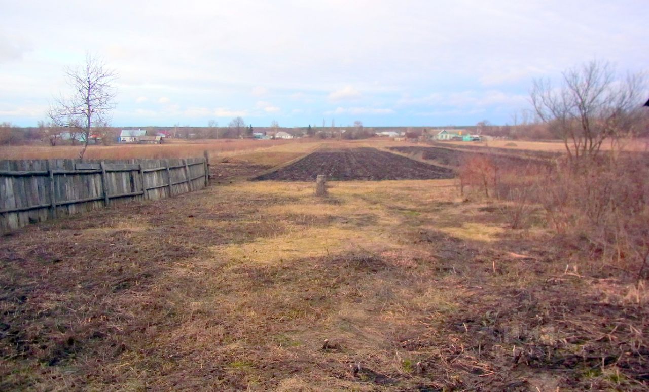 Село порой. Липецкая область, Добровский р-н, с. порой,. Село порой Добровского района Липецкой области. С порой Добровского района Липецкой области. Липецкая область Добровский район волки в лесу 2021.