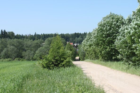 Купить Земельный Участок В Снт Поляны