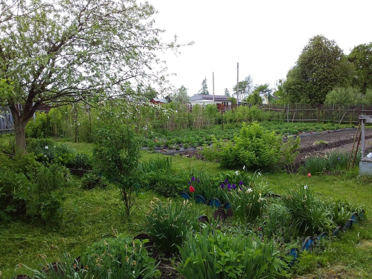 Погода великий новгород божонка. Деревня божонка смоленская область. Погода великий новгород божонка. Божонка великий новгород. Погода великий новгород божонка.