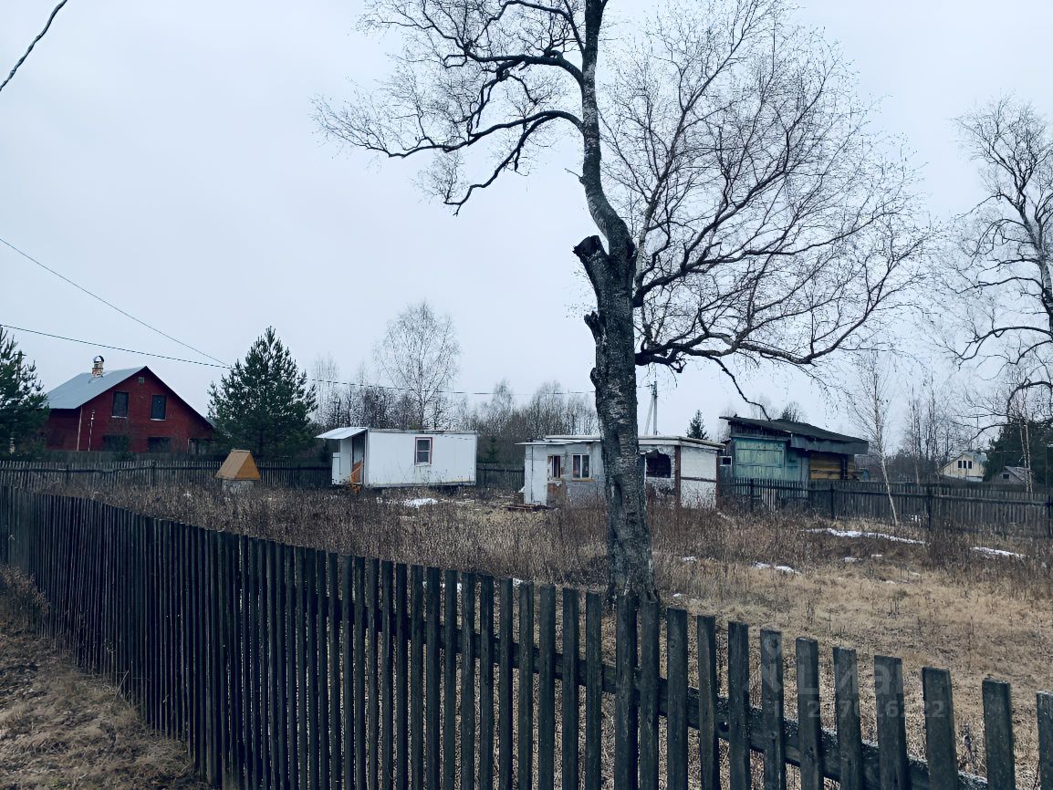 Деревня судаково. Деревня Камынинка. Деревня Камынинка Можайского района. Можайск Судаково деревня. Телятьево Можайского района.