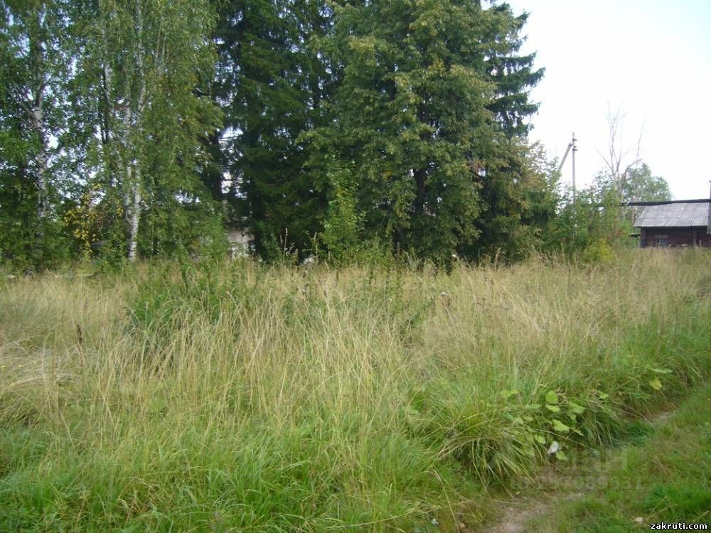 Продажа Участков Под Магазин