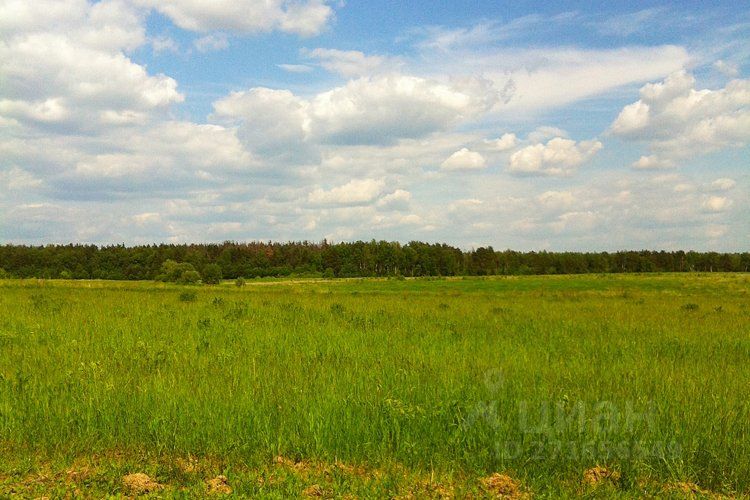 Романово лайф фото