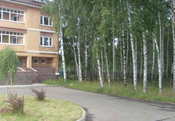 3-я Фотография ЖК «Берёзовая роща»
