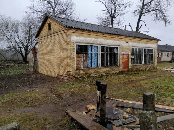 Продажа домов в новгородской области недорого с фото