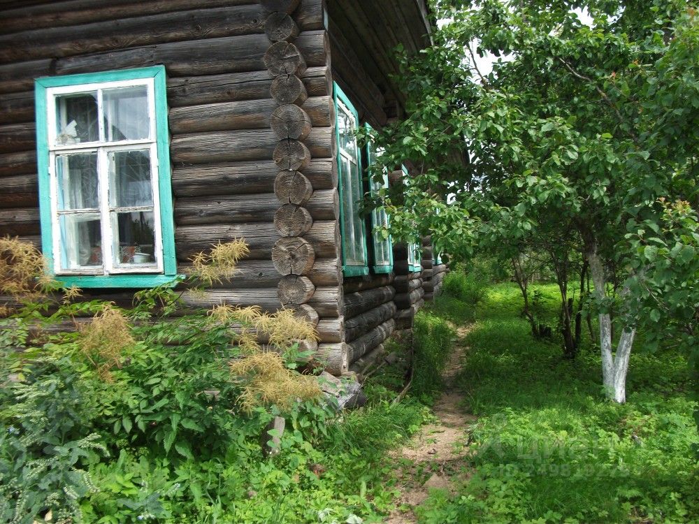 Тверская область лесной район село лесное фото