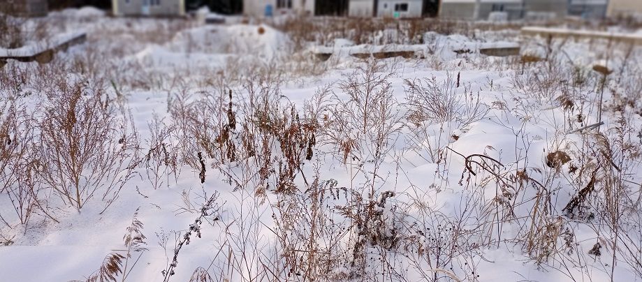 На плане изображено домохозяйство по адресу с игнатово ул каштановая д 14 участок