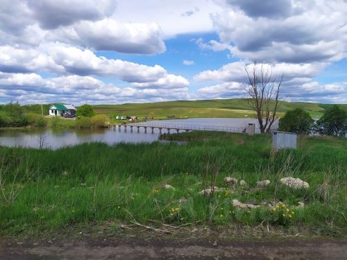 Пруд михайловский самарская. Пруд крестьянский самарская область рыбалка. Пруд михайловский самарская. Пруд михайловский самарская. Волковский пруд рыбалка башкирия.