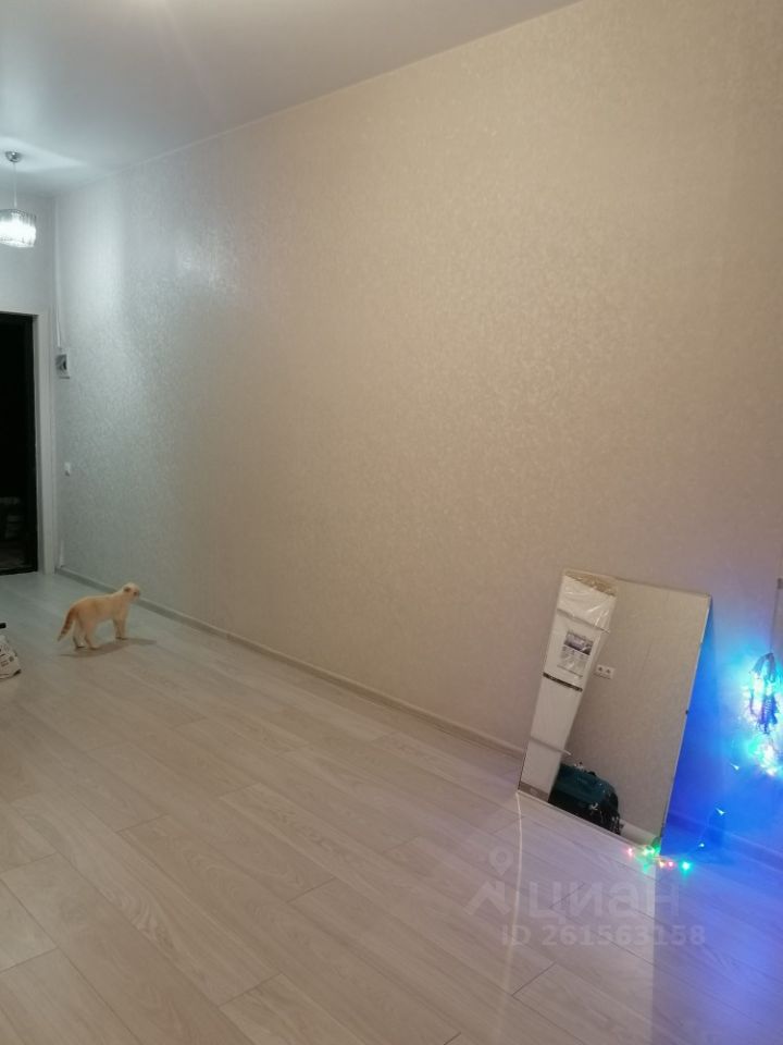 Продажа однокомнатной квартиры 21.3м² пер. Счастливый, 26, Краснодарский край, Новороссийск городской округ, Мысхако село - база ЦИАН, объявление 261563158