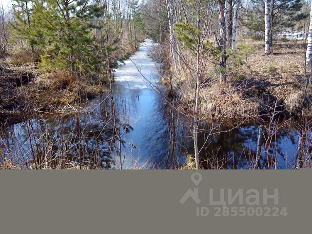 Котлован залили водой вид предложения