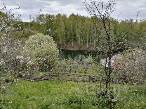 Установка окон в лысково