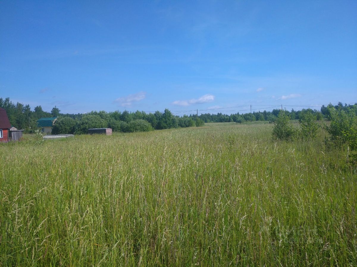 Новгородский гектар. Ракомское поселение Новгородский район.