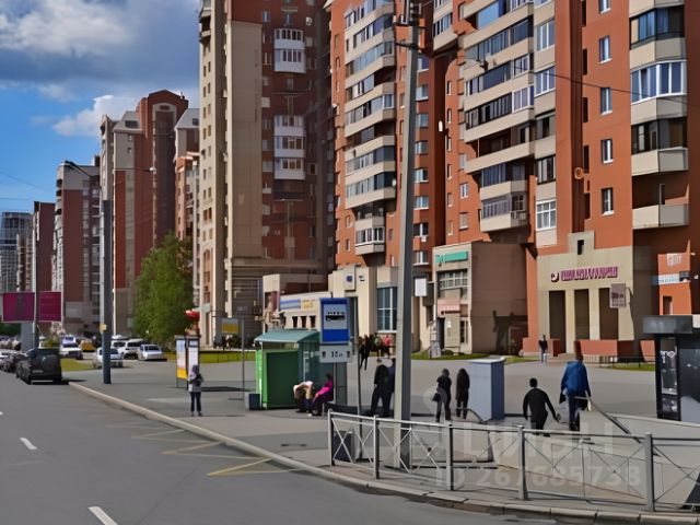 Улица Савушкина Фото