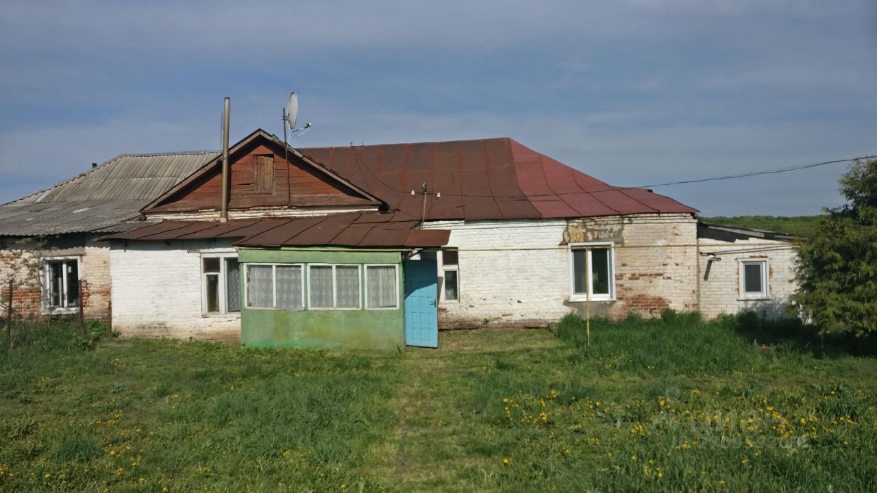 Плетневка. Село Зубрилово Пензенской области Тамалинский район. Деревня Барышниково Тамалинский район. Пензенская обл. - С. Зубрилово Тамалинского р-на. С Вишневое Тамалинского района.