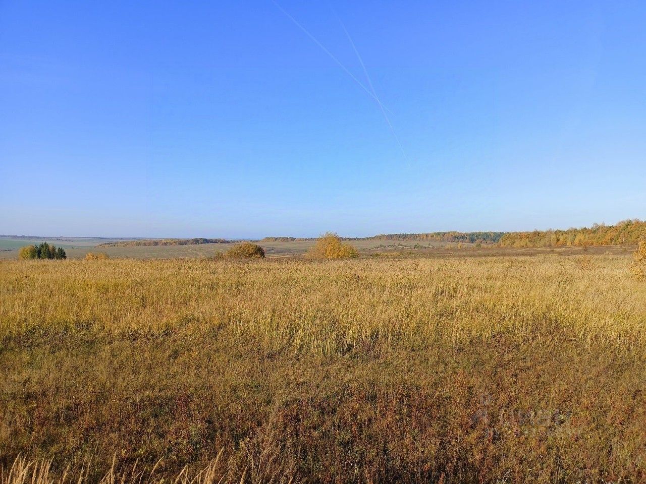 Нижегородский гектар. Земля+сельхоз+назначения+свет+вода+купить.