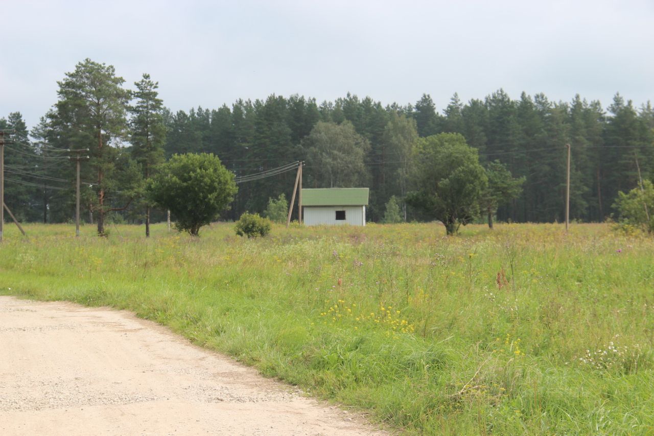 Выскатка сланцевский район фото