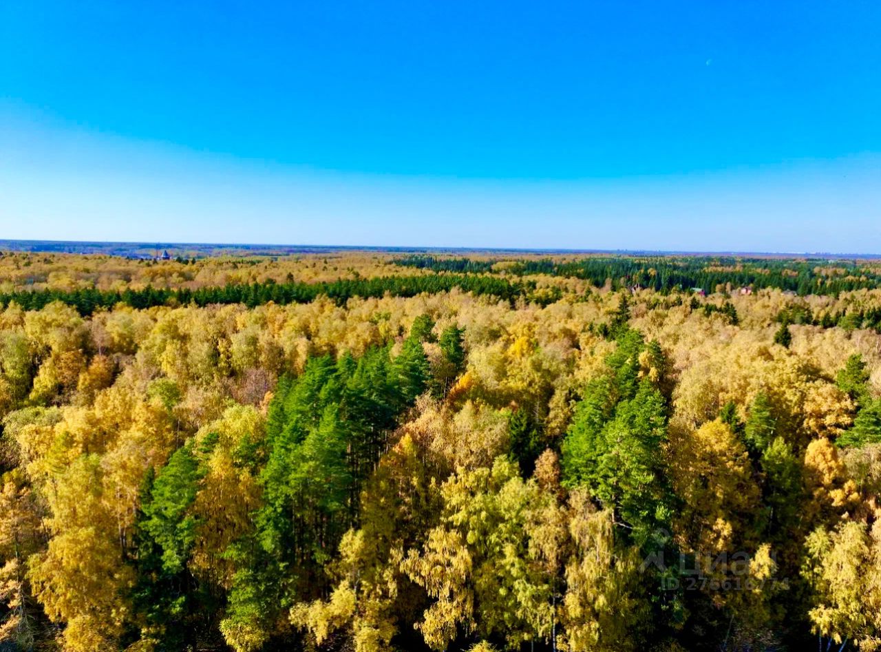 Село растуново улица нива