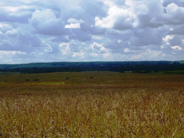 Купить Дом В Богородицком Смоленский Район