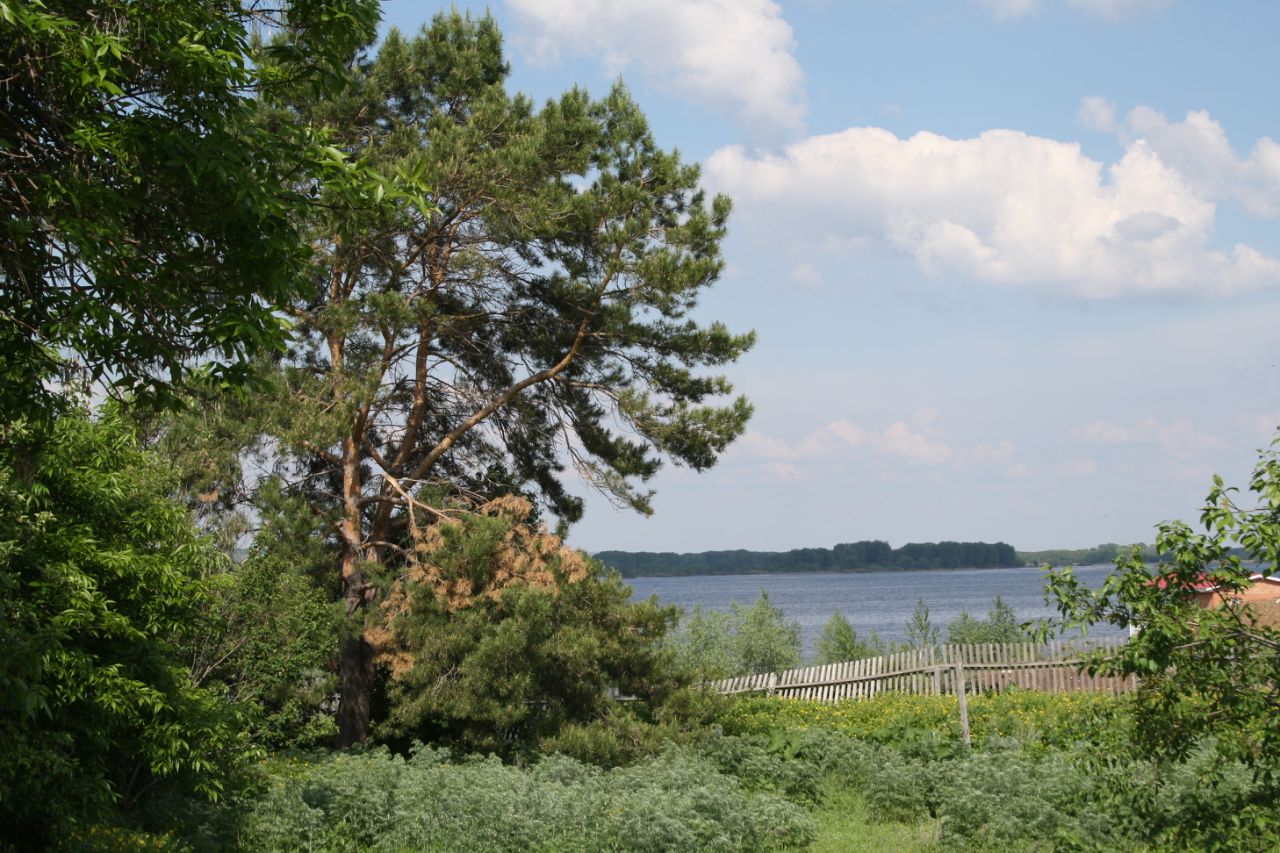 Безенчукский Район Фото