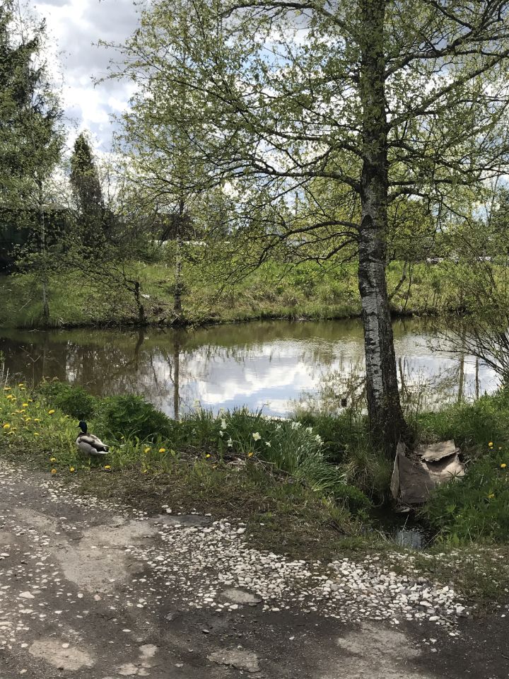 Продажа дома 34м² Новгородская область, Новгородский район, Ермолинское с/пос, № 4 массив, Золотая осень садовое товарищество - база ЦИАН, объявление 233483854