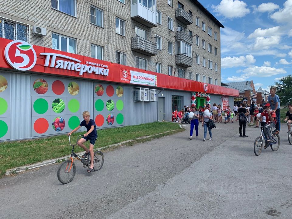 Где Купить Собаку В Камень На Оби